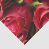 Rode rozen tissuepapier (Detail)