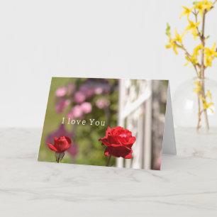 Rode Rozen Tuin Houdt Van Jou Kaart