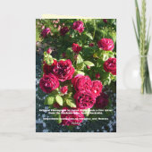 Rode rozenbloem Rozen Bloedbloem Dagelijkse Kaart (Achterkant)