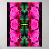 Rode rozenbloemen en regendruppels Abstract Poster (Voorkant)