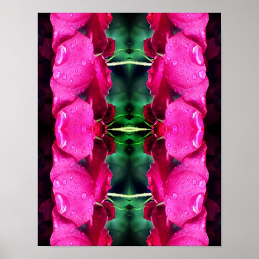 Rode rozenbloemen en regendruppels Abstract Poster (Voorkant)