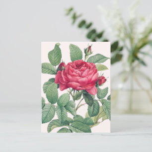 Rode rozenbloemen met groene bladeren briefkaart