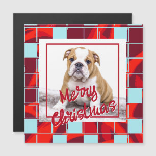 Rode ruitjes Bulldog-hond Foto Prettig kerstfeest 