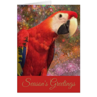 Rode Scarlet Macaw Parrot Vakantie Seizoen Kaart