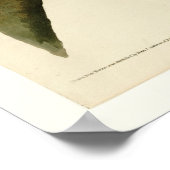 Rode schoudershavik poster (Hoek)