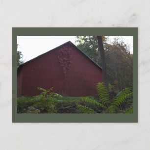 Rode Schuur met Ivy Briefkaart