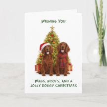 Rode Setter Honden Kerstmis