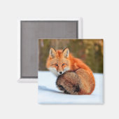 Rode sneeuw | Yukon Magneet (Voorkant / Achterkant)