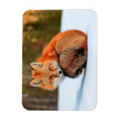 Rode sneeuw | Yukon Magneet (Verticaal)