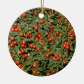 Rode Solanum Pseudocapsicum (Jerusalem Cherry) Keramisch Ornament (Voorkant)