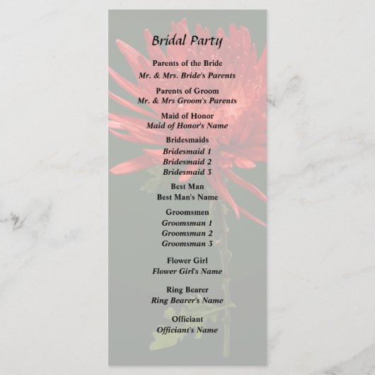 Rode Spider Mum Programma (Achterkant)