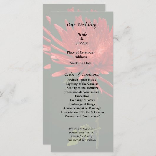 Rode Spider Mum Programma (Voorkant / Achterkant)