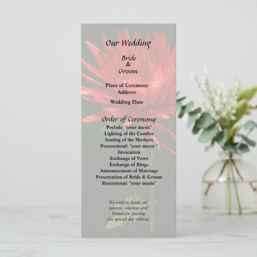 Rode Spider Mum Programma (Staand voorkant)