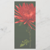 Rode Spin Mum Menu (Achterkant)