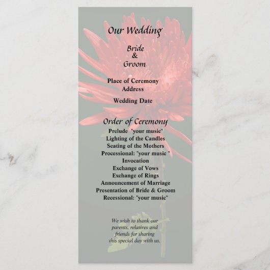 Rode Spin Mum Programma (Voorkant)