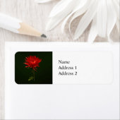 Rode spinmum etiket (Insitu)