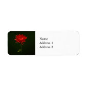 Rode spinmum etiket (Voorkant)