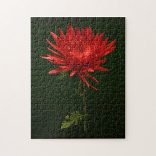 Rode spinmum legpuzzel