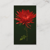 Rode spinmum visitekaartje (Achterkant)