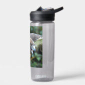 Rode-staartHawk foto Waterfles (Links)