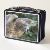 Rode-staartHawk Raptor Foto (Voorkant)