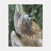 Rode-staartHawk Raptor Foto Fleece Deken (Voorkant)
