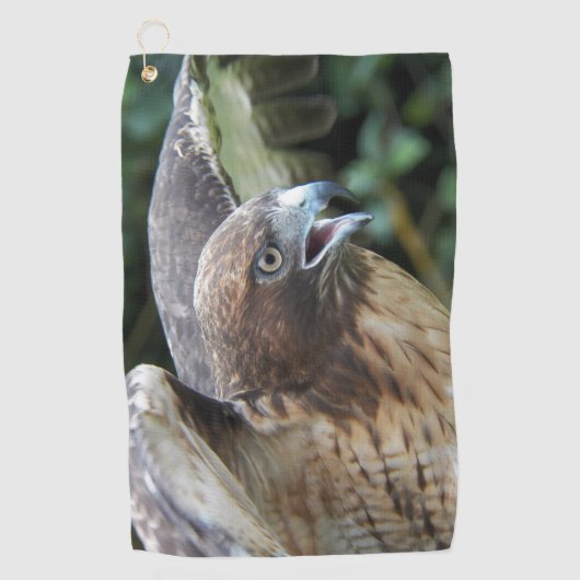 Rode-staartHawk Raptor Foto Golfhanddoek (Voorkant)