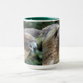 Rode-staartHawk Raptor Foto Mok (Midden)