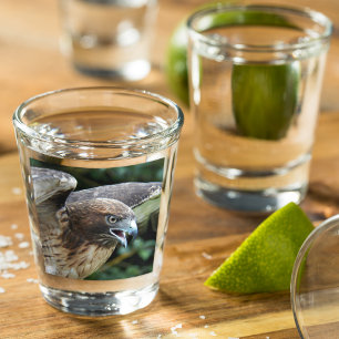Rode-staartHawk Raptor Foto Shot Glas