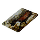 Rode stier van Lascaux Magneet (Linkerzijde)