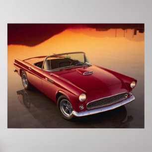  rode T-Bird Poster