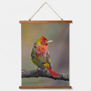 Rode Tangare Hertog - Originele Foto Hangend Wandkleed