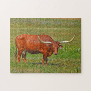 Rode Texaanse Longhorn Koe in Pasture Puzzle Legpuzzel