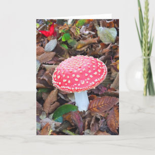 Rode toadstool feestdagen kaart