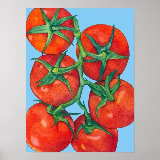 Rode tomaten blauw Poster (Voorkant)