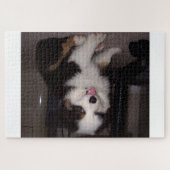 rode tri Puppy mini aussie Legpuzzel (Horizontaal)