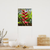 Rode Tropische Bloem - Heliconia Poster (Keuken)