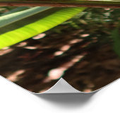 Rode Tropische Bloem - Heliconia Poster (Hoek)