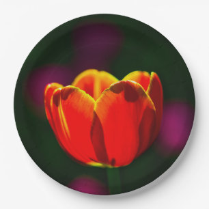 Rode tulp bloem papieren bordje