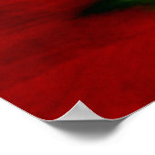 Rode Tulp bloem Poster (Hoek)