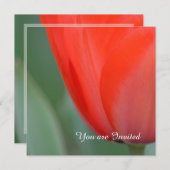 Rode Tulp Bloem Verjaardag Kaart (Voorkant / Achterkant)