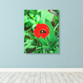 Rode tulp canvas afdruk (Insitu (Houten vloer))
