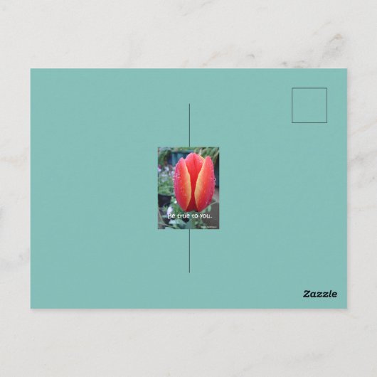 Rode Tulp en Regendruppels bloemige Wees Eerlijk T Briefkaart (Achterkant)