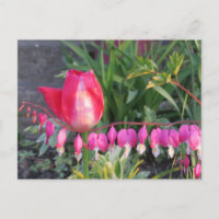 Rode Tulp en roze bloederende hartbloemen
