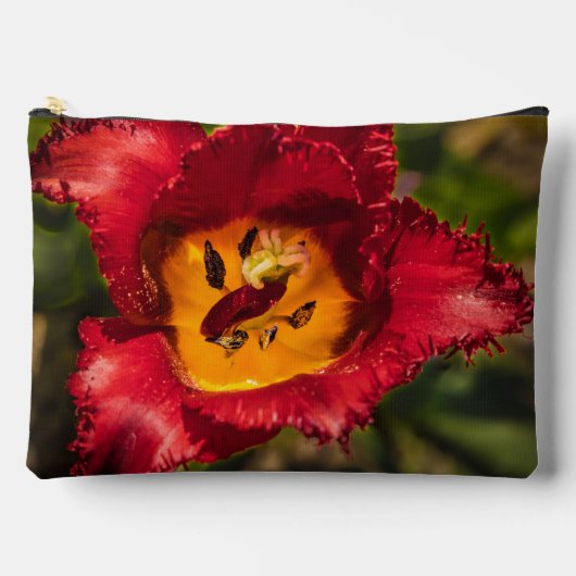 Rode tulp etui (Voorkant)