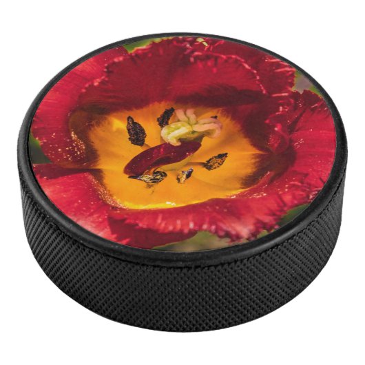 Rode tulp hockey puck (3/4)