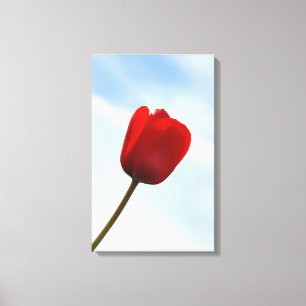 Rode Tulp in Canvas Gewikkeld Afdruk