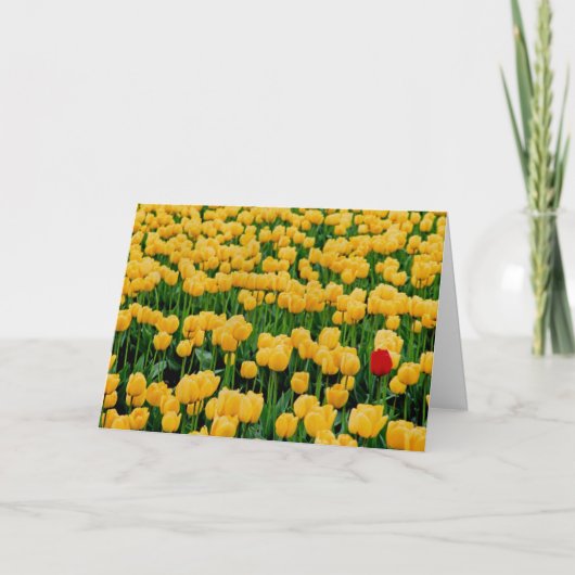 Rode tulp in een geel tulpenveld kaart (Voorkant)