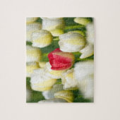 Rode tulp in een veld met witte tulpen legpuzzel (Verticaal)