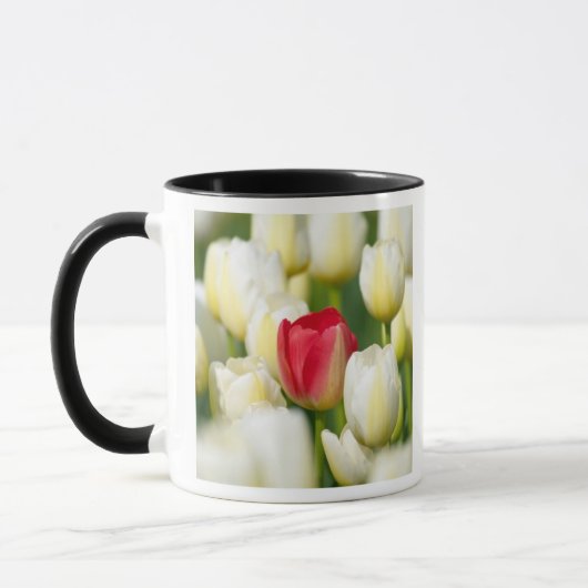 Rode tulp in een veld met witte tulpen mok (Links)